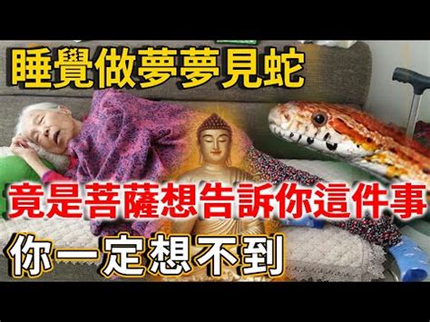 蛇的意義|【看見蛇代表什麼】看見蛇代表什麼？民俗專家揭露傳統文化中的。